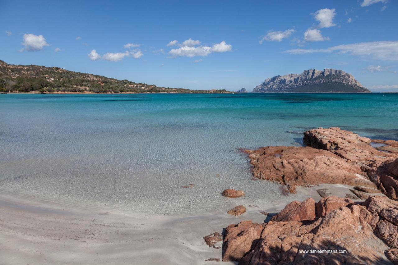 Aria Di Vacanza - Gelsi Ольбия Экстерьер фото