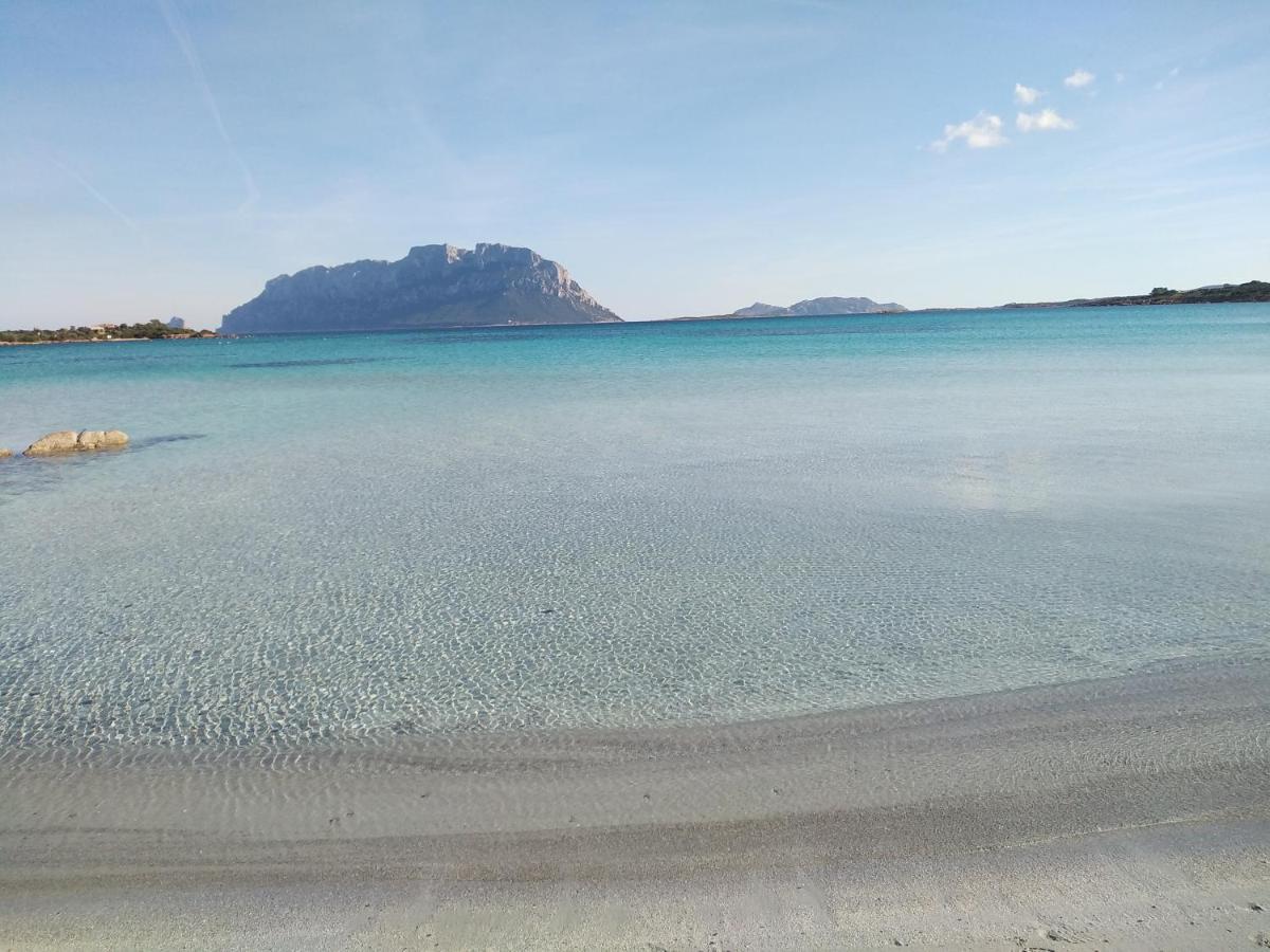 Aria Di Vacanza - Gelsi Ольбия Экстерьер фото